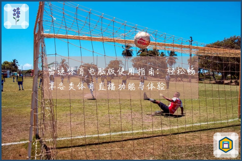 雷速体育电脑版使用指南：轻松畅享各类体育直播功能与体验