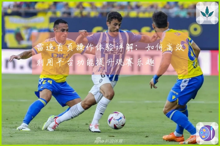 雷速首页操作体验详解：如何高效利用平台功能提升观赛乐趣